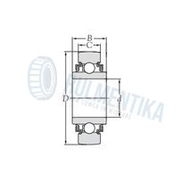 Rulment LR201 RRU INA