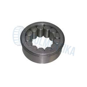 Rulment F19005 FERSA