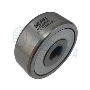 Rulment 6302 RMX PFI