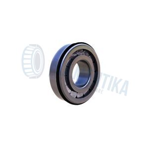 Rulment F19023 FERSA