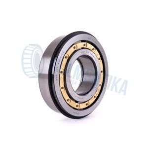 Rulment F19009 FERSA