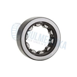 Rulment F19068 FERSA