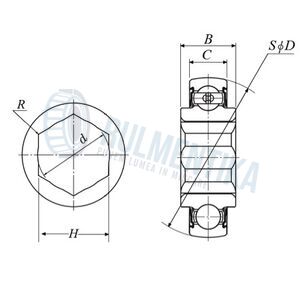Rulment 209KRRB2 PFI