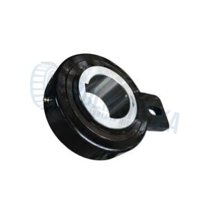 Rulment GVG55(RSBW55) CTS
