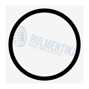 O-ring 11X1