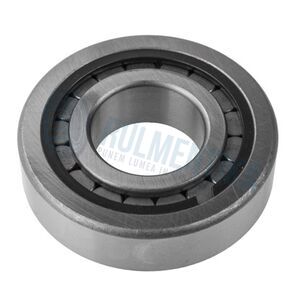 Rulment F19022 FERSA