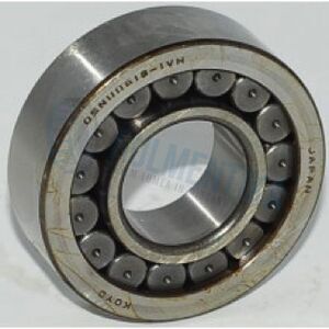 Rulment F19093 FERSA