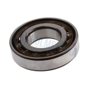 Rulment F18021 FERSA