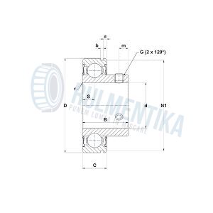 Rulment CUS205 SNR