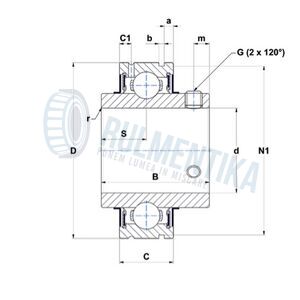 Rulment USC205 NTN