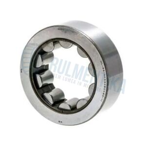 Rulment TNB44185.S01 NTN
