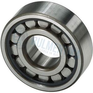 Rulment SL182209 ISB