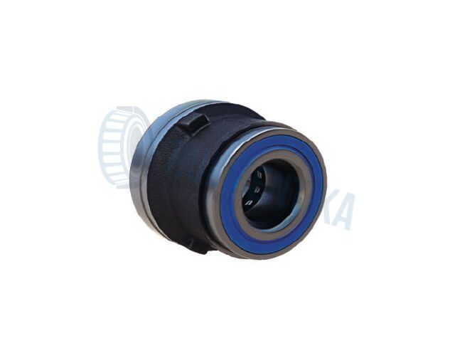Rulment F300006 FERSA