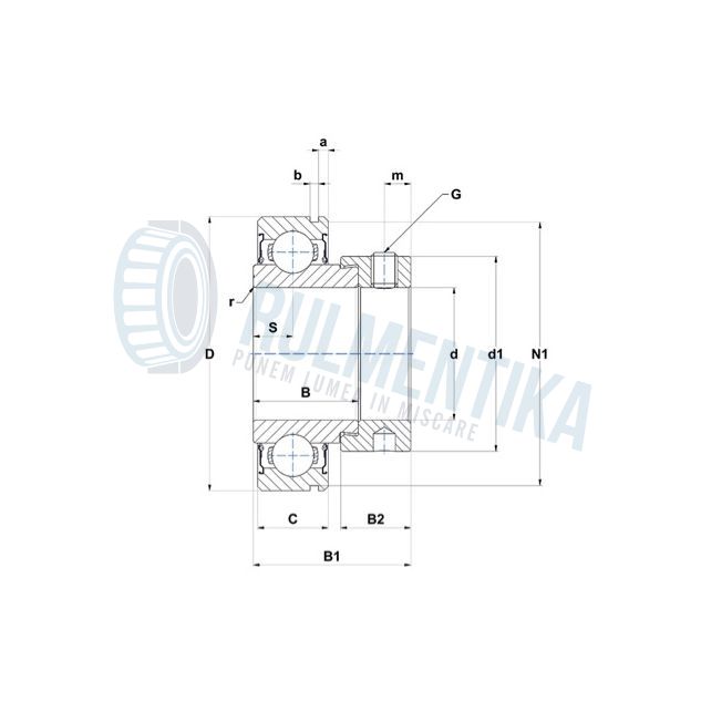 Rulment AELS206 W3 NTN