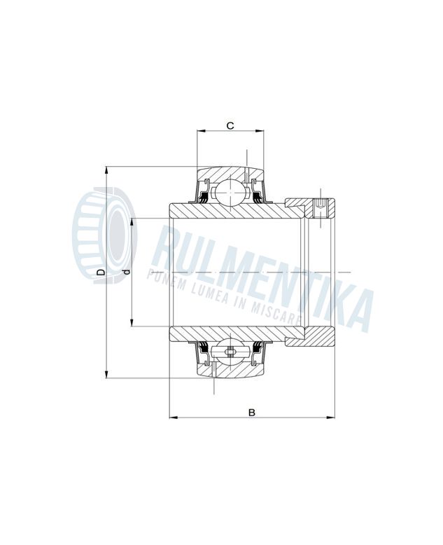 Rulment EX207-20 SNR