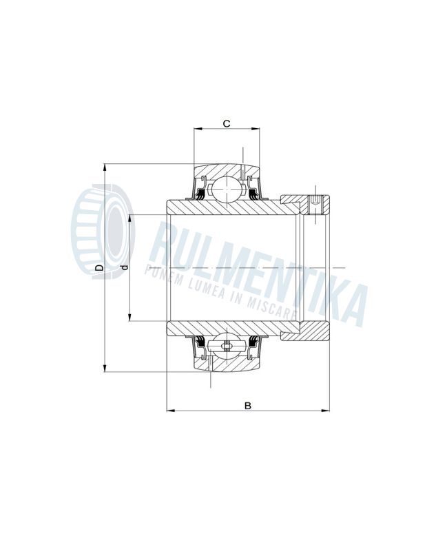 Rulment UEL307 W3 NTN