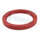 Simering 100X120X10 SILICON