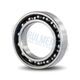 Rulment DG2037-3 CS20 Koyo