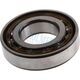 Rulment F18021 FERSA