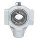 Lagar SPUCT206 INOX IMP