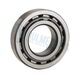 Rulment NUP311 E/C3 Koyo