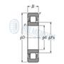 Rulment NUP206 E/C3 FBJ