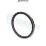 Simering 167.8X198X13/15.5 CORTECO